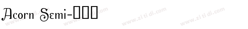Acorn Semi字体转换